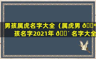 男孩属虎名字大全（属虎男 🌺 孩名字2021年 🌴 名字大全）